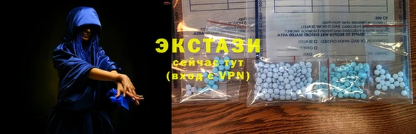 хмурый Алексин