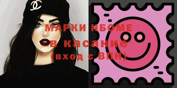 хмурый Алексин