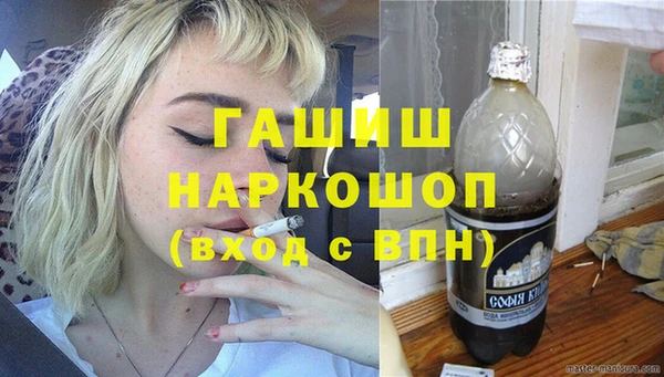 хмурый Алексин
