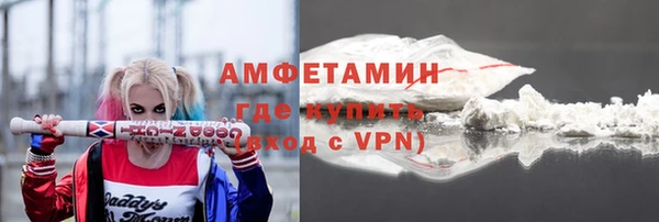 хмурый Алексин