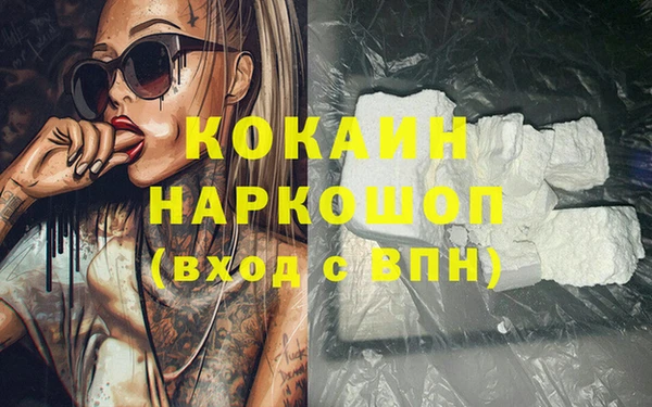 хмурый Алексин