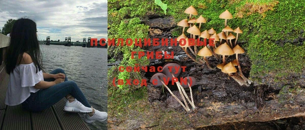 хмурый Алексин