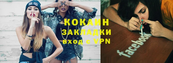 крисы Алзамай