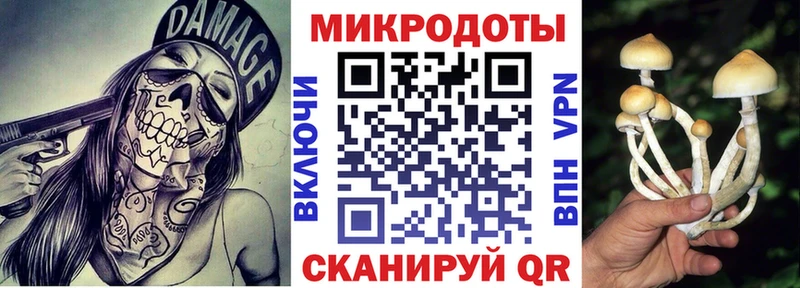 закладка  Оленегорск  Галлюциногенные грибы Magic Shrooms 